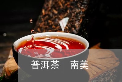 普洱茶 南美/2023042866076